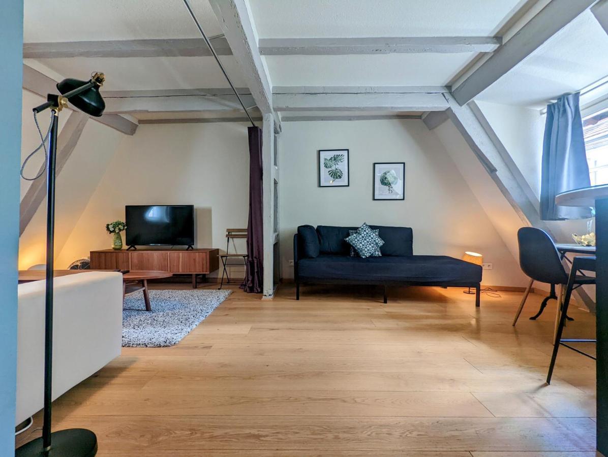 Citycosy Strasbourg - Authentique Batelier ภายนอก รูปภาพ