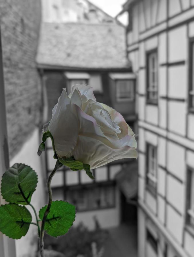 Citycosy Strasbourg - Authentique Batelier ภายนอก รูปภาพ