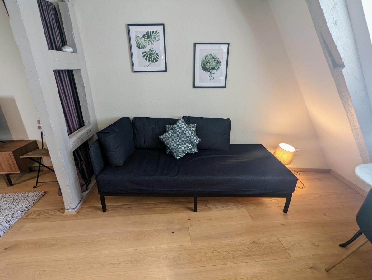 Citycosy Strasbourg - Authentique Batelier ภายนอก รูปภาพ